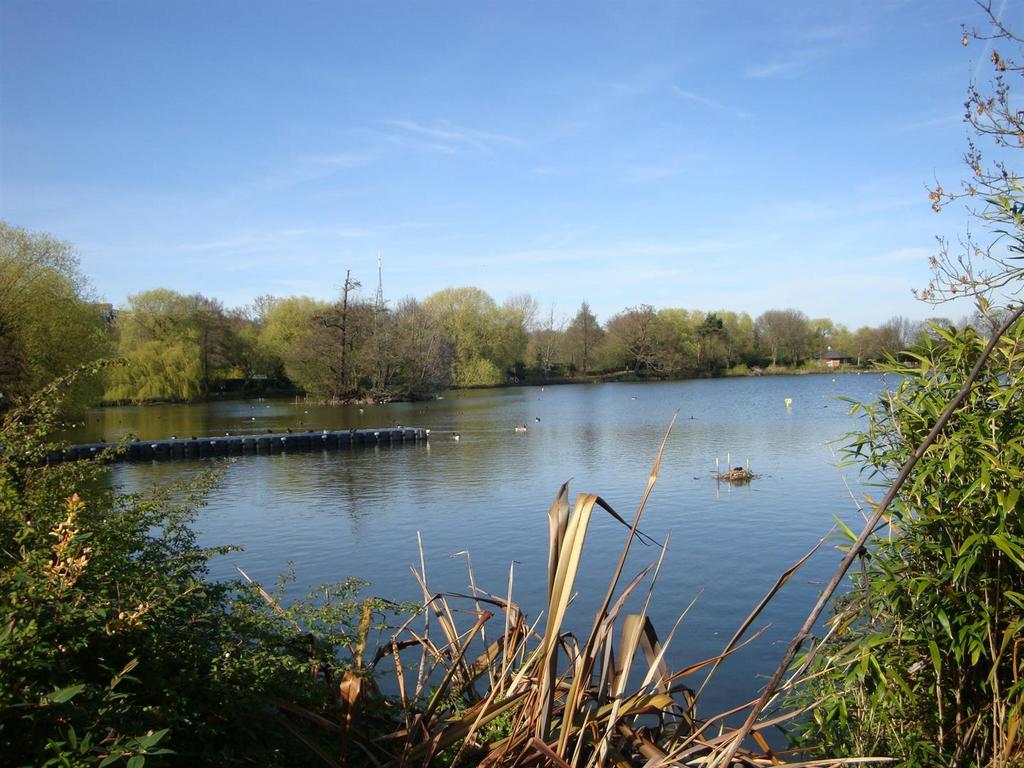 Norwood Lake1.jpg