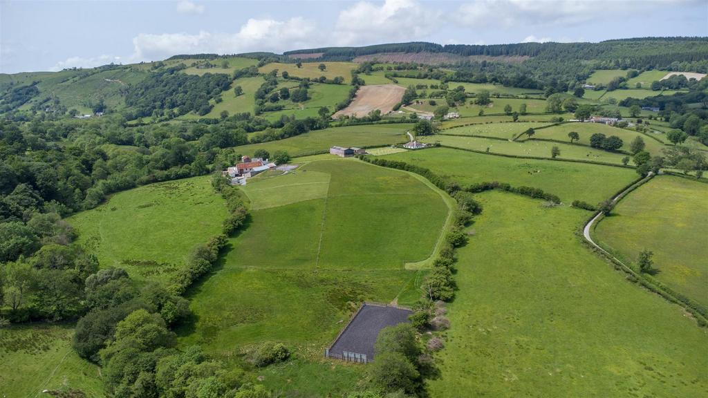 The Paddocks