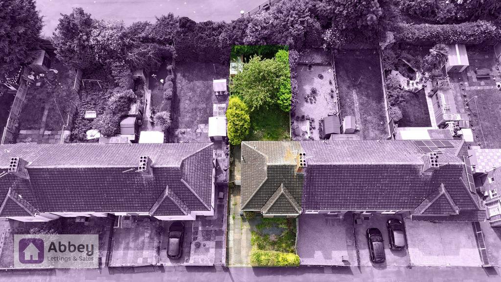 Plot View