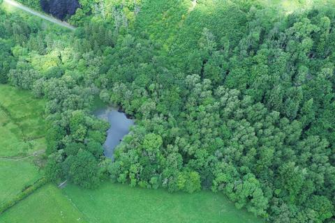undefined, Coed Alltfedw, Aberystwyth, SY23