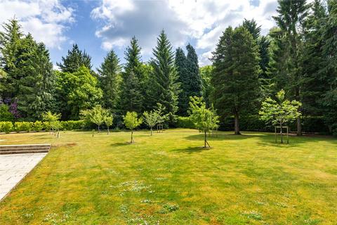 Fairleads Wheatsheaf Enclosure, Liphook, GU30 7EJ