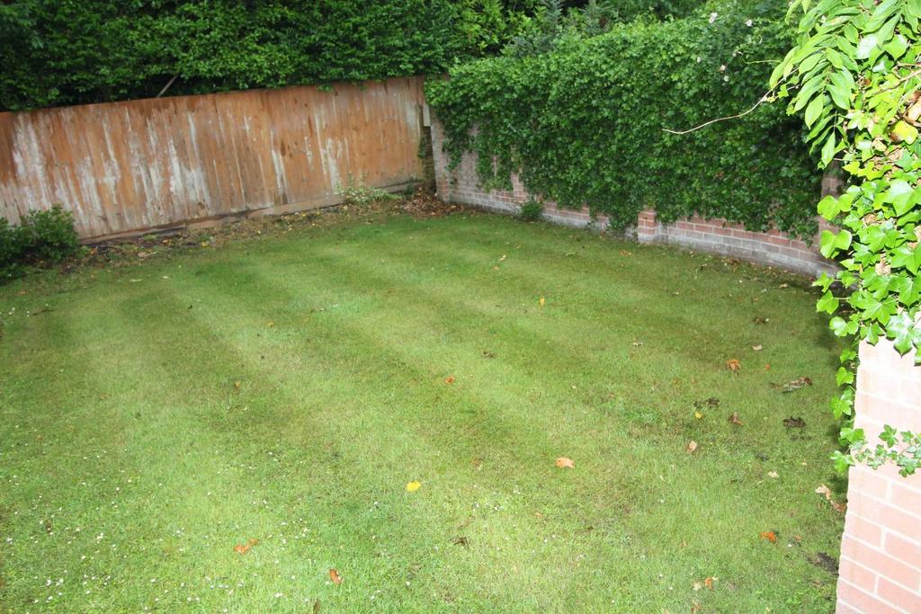 Img 0407.jpg