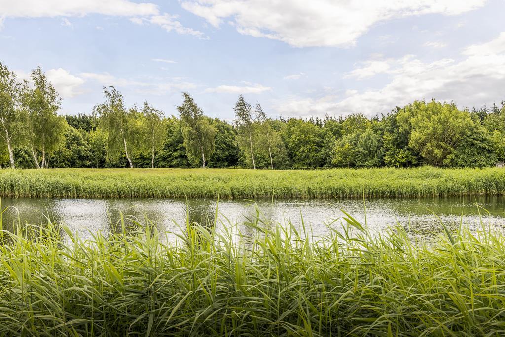 Swan Lake Country Park (Swineshead) Cabin 2-9.jpg