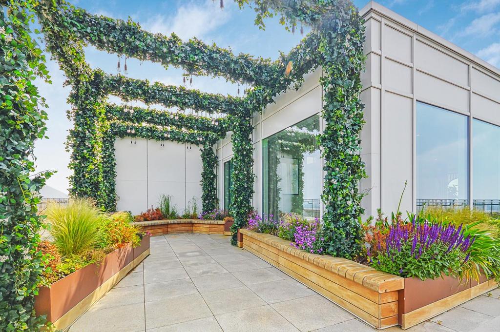 Roof Terrace