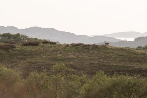 12 bedroom property for sale, Arduaine, Oban, Argyll, PA34