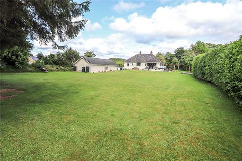 undefined, Okehampton, Devon