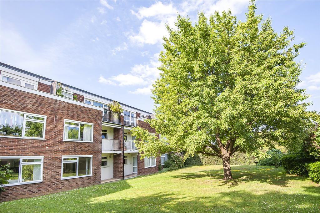 Communal Gardens