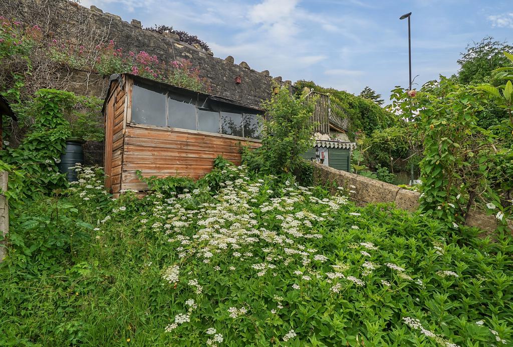 Back Garden
