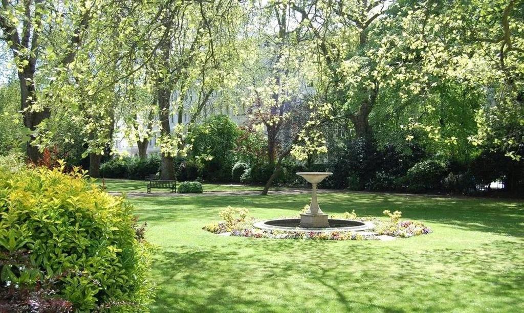 Garden view, garden