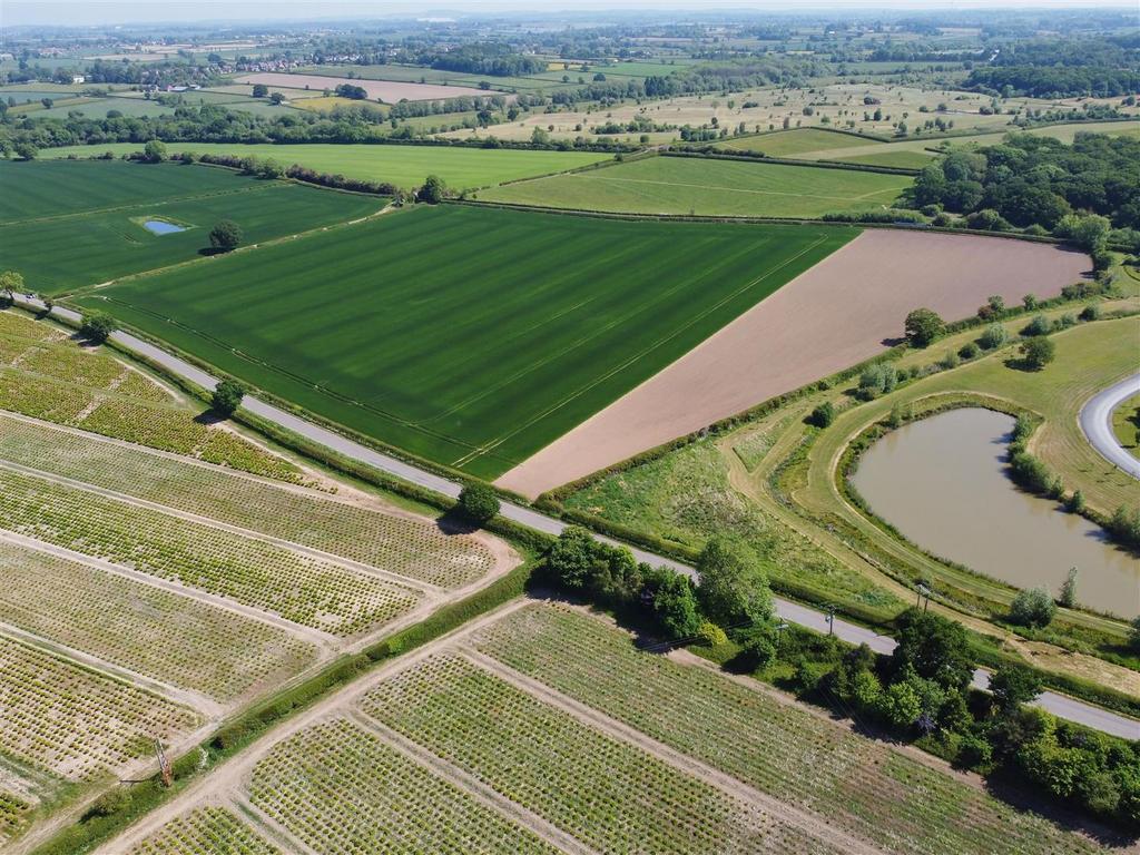 DJI 0234.jpg