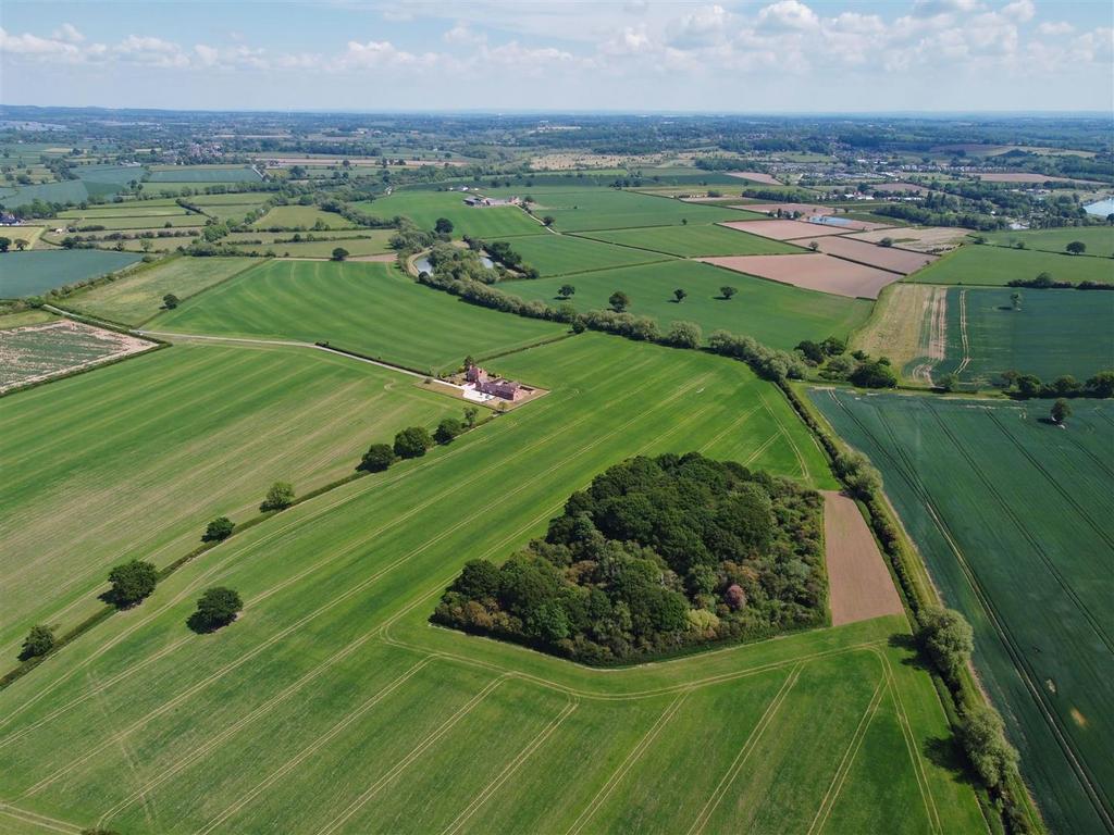 DJI 0295.jpg
