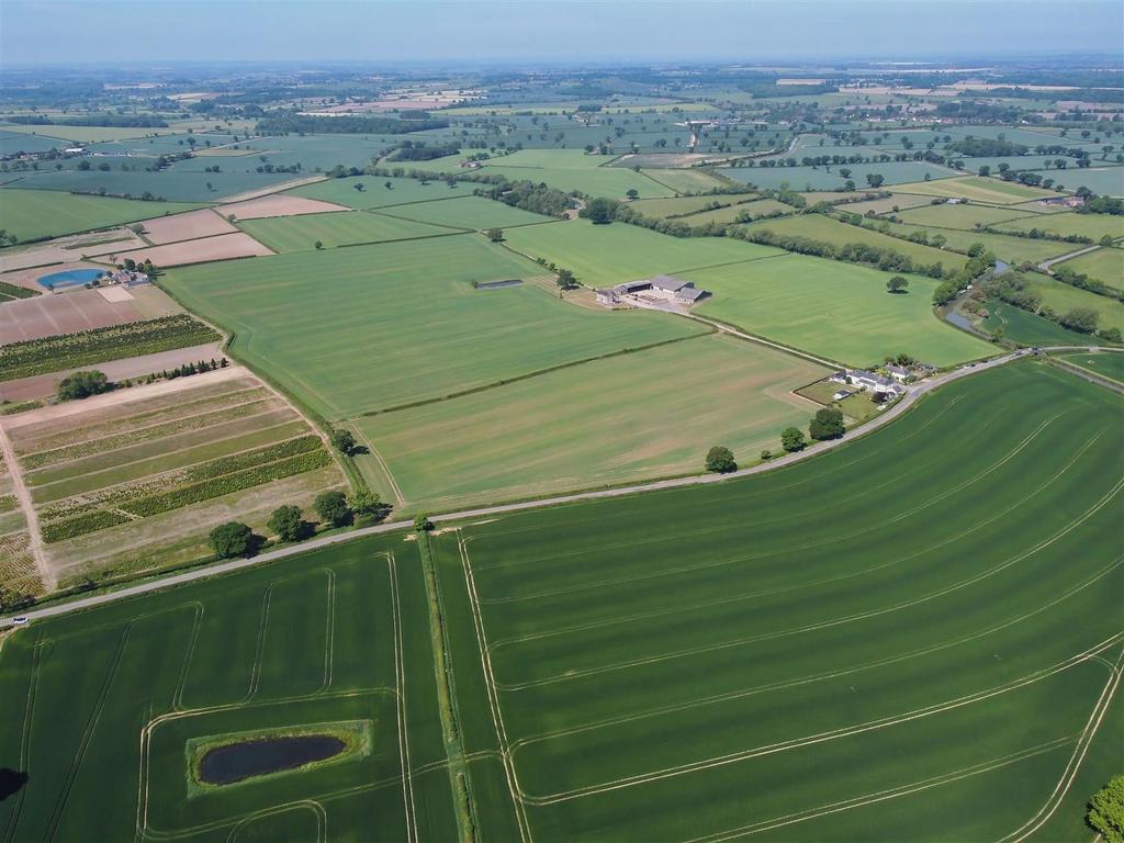 DJI 0239.jpg