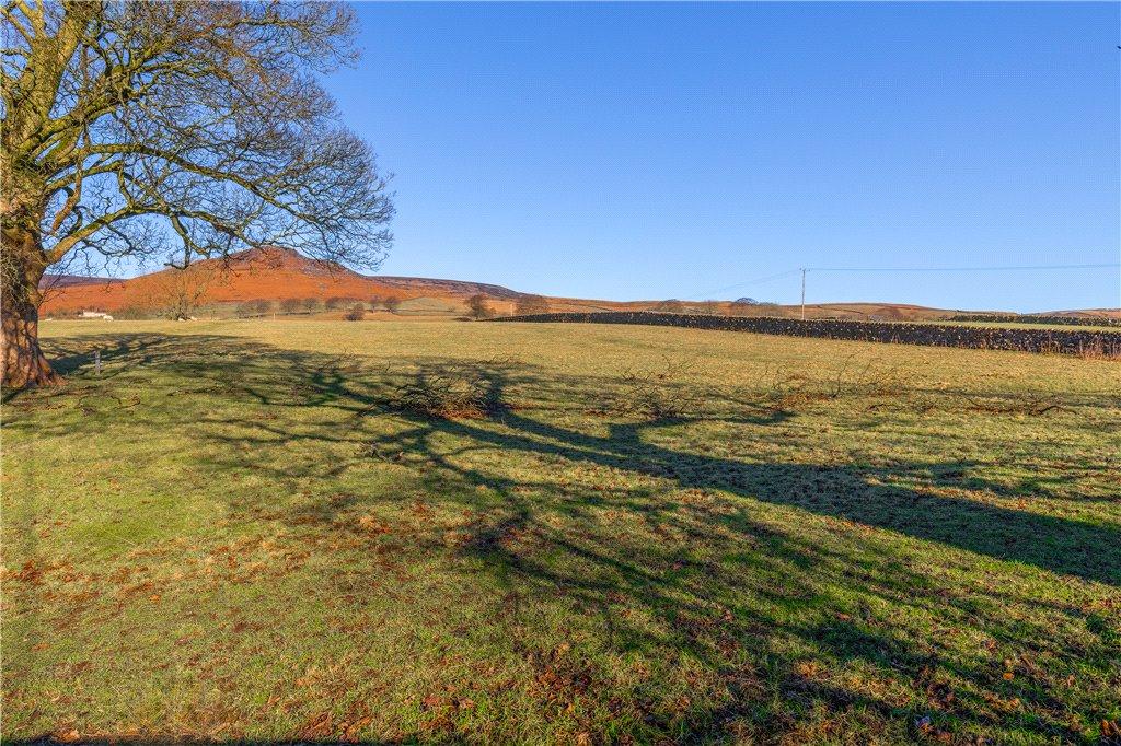 Open Fields