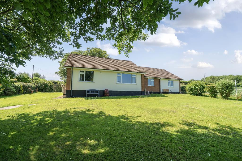 Photos