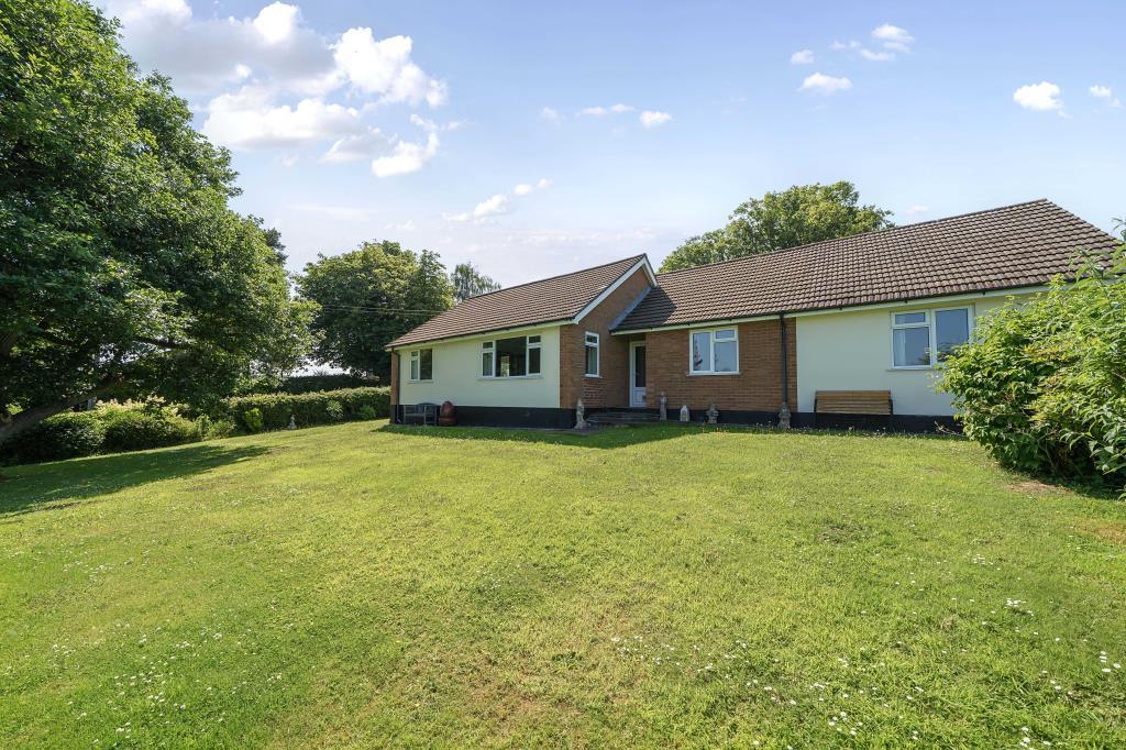 Photos