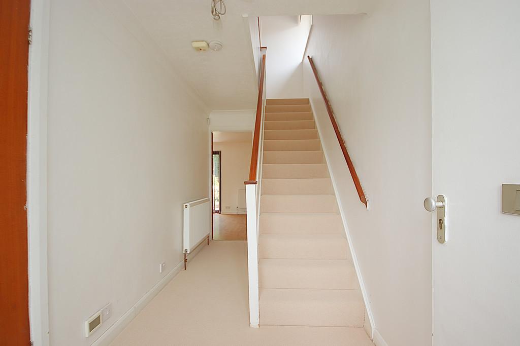 Img 4196