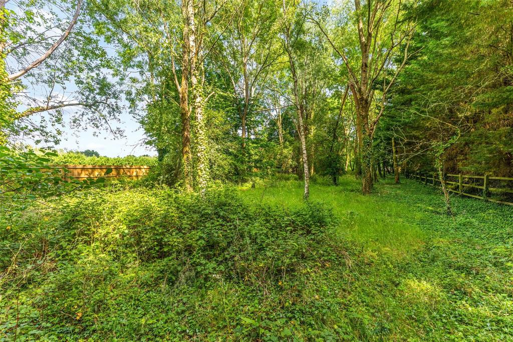 Woodland