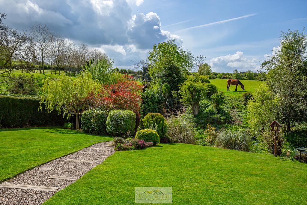 Back garden 1.9