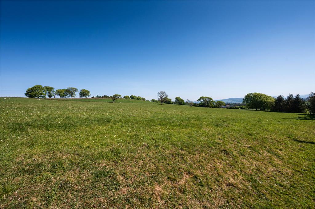 Upper Field