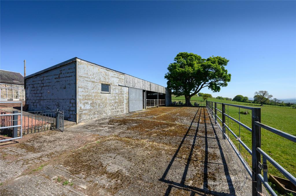 Shed / Workshop