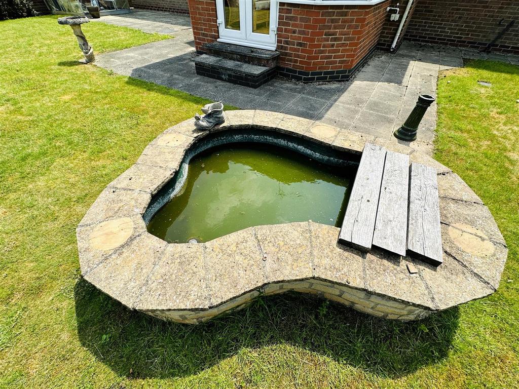 Pond