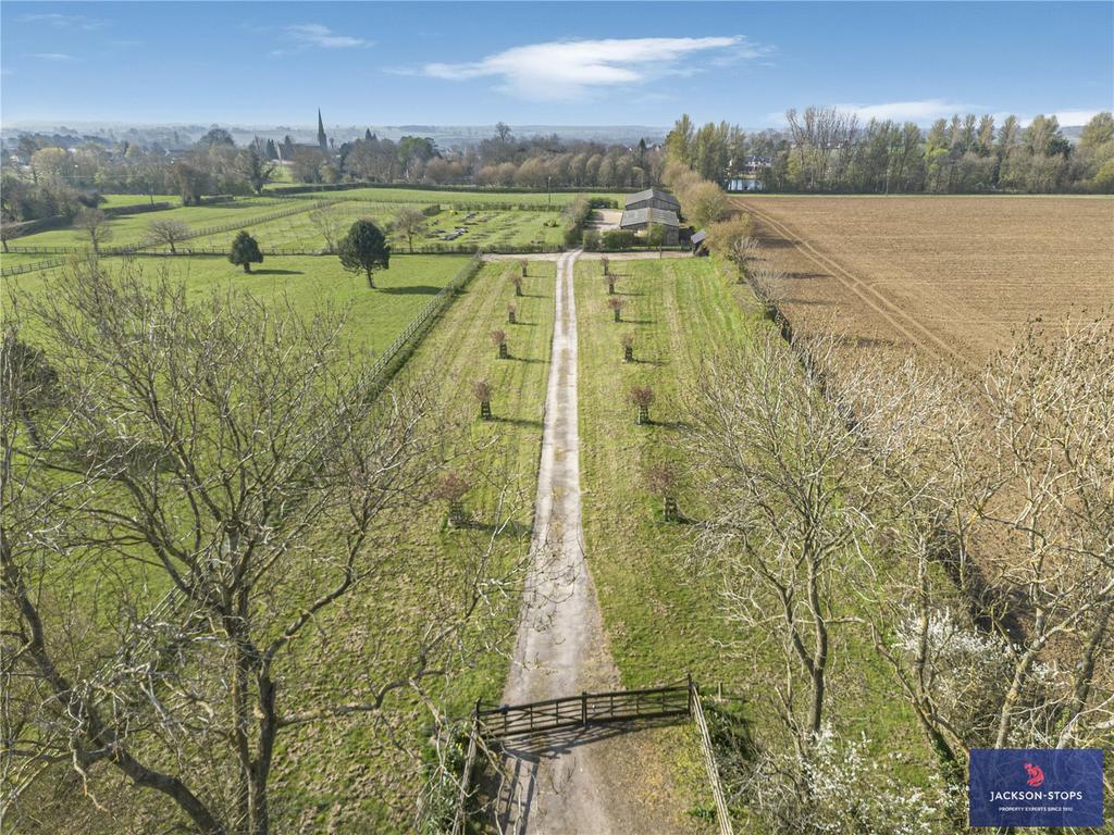 Tree Lined Drive