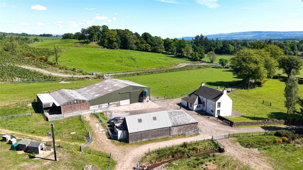 Steading