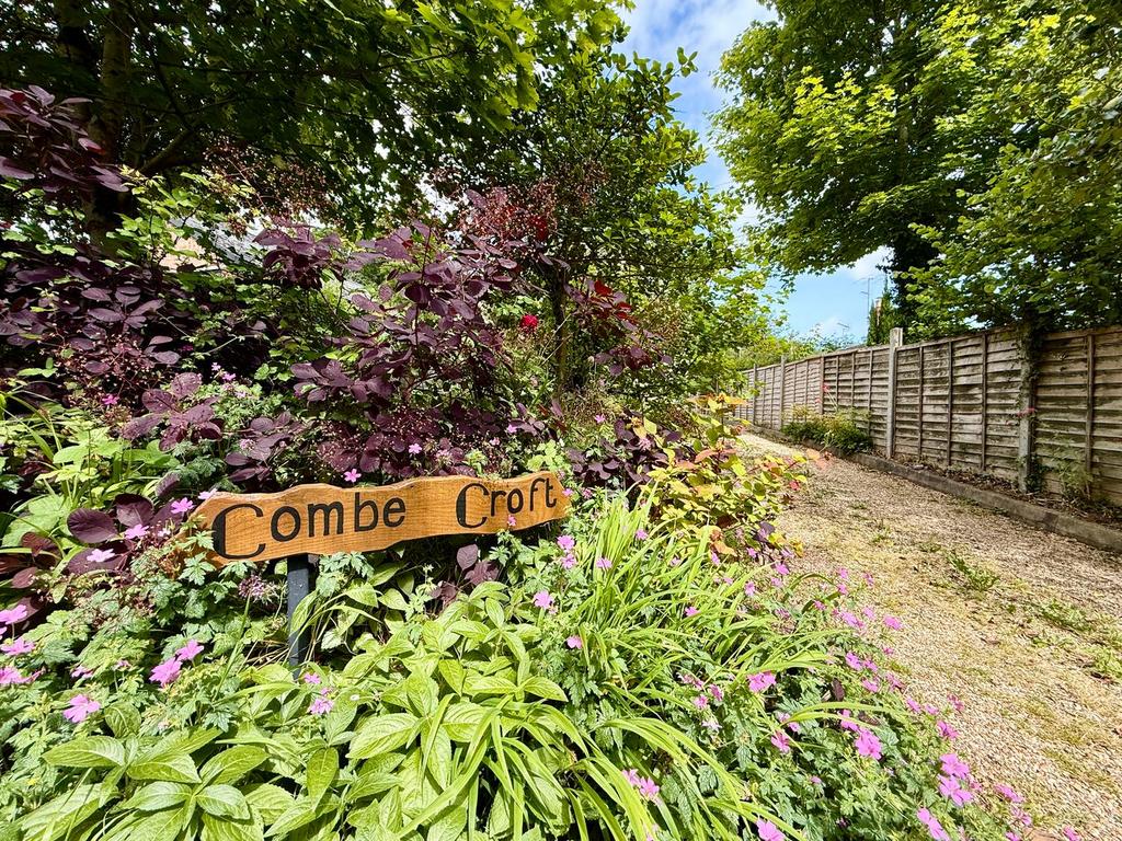 Garden view, garden