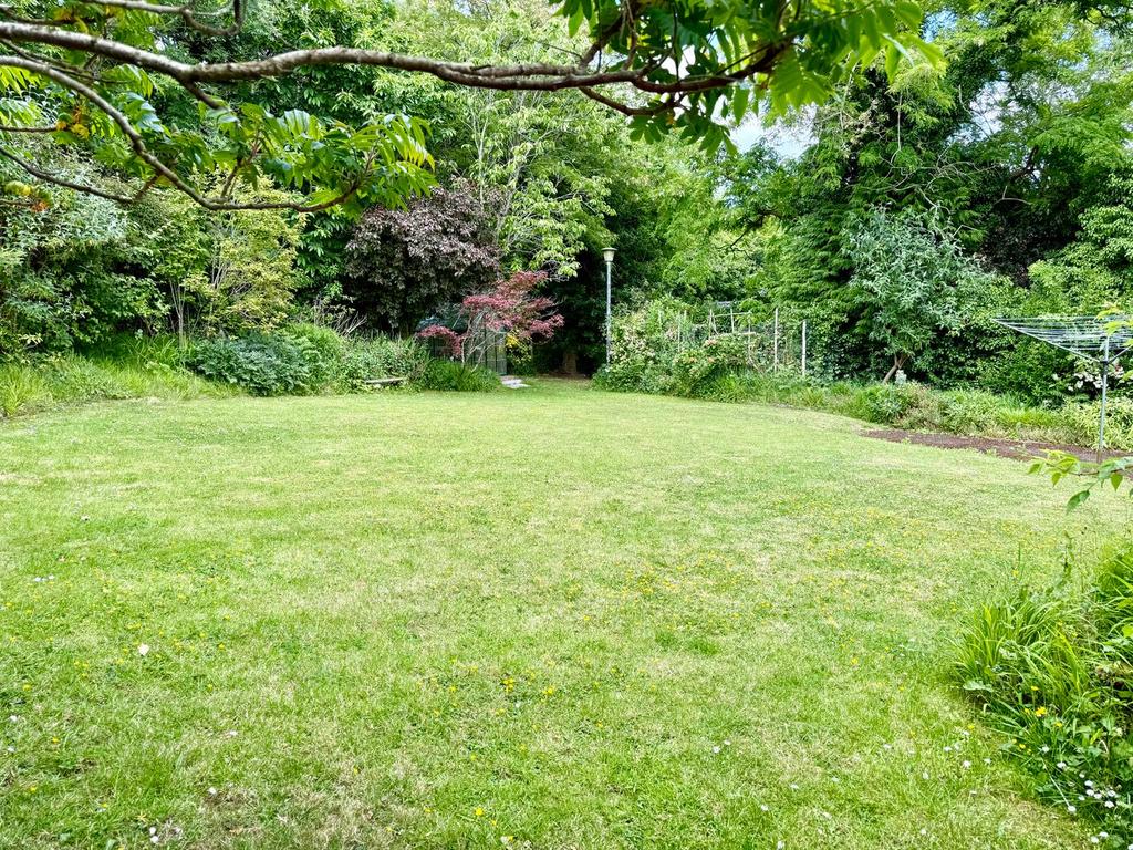 Garden view, garden