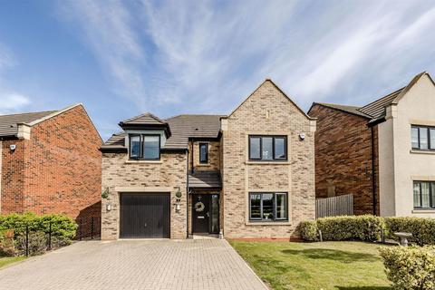 Broadfield Meadows, Newcastle Upon Tyne NE5