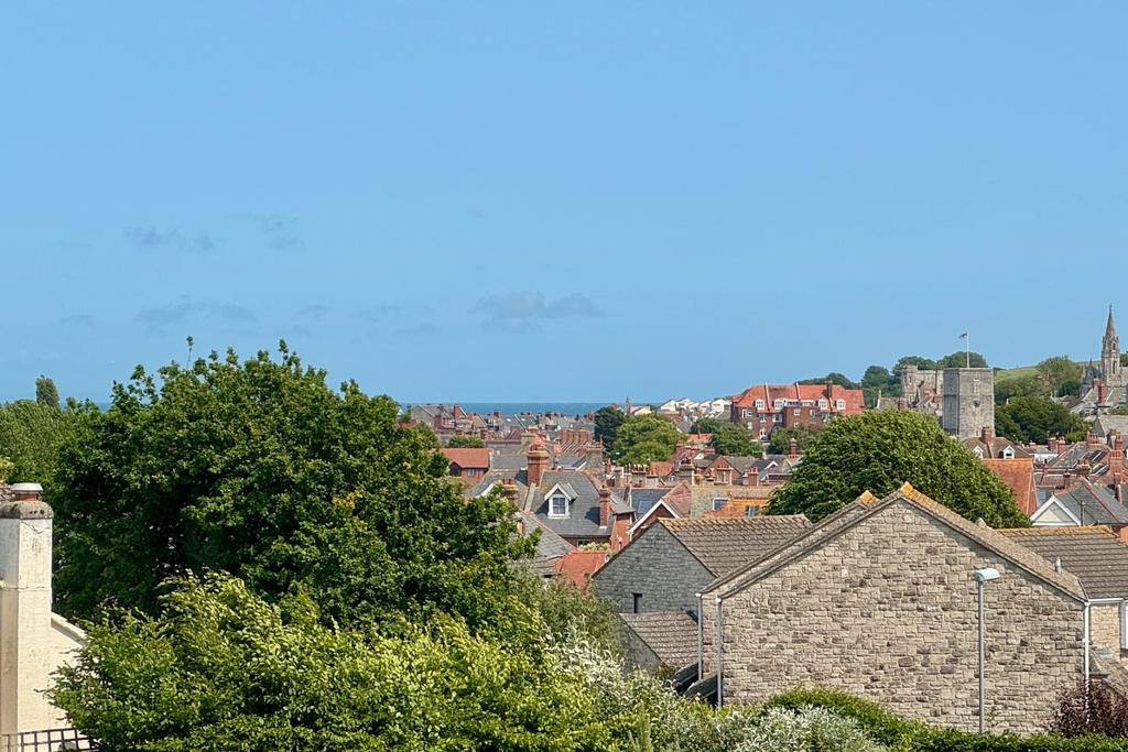 Distant Sea View