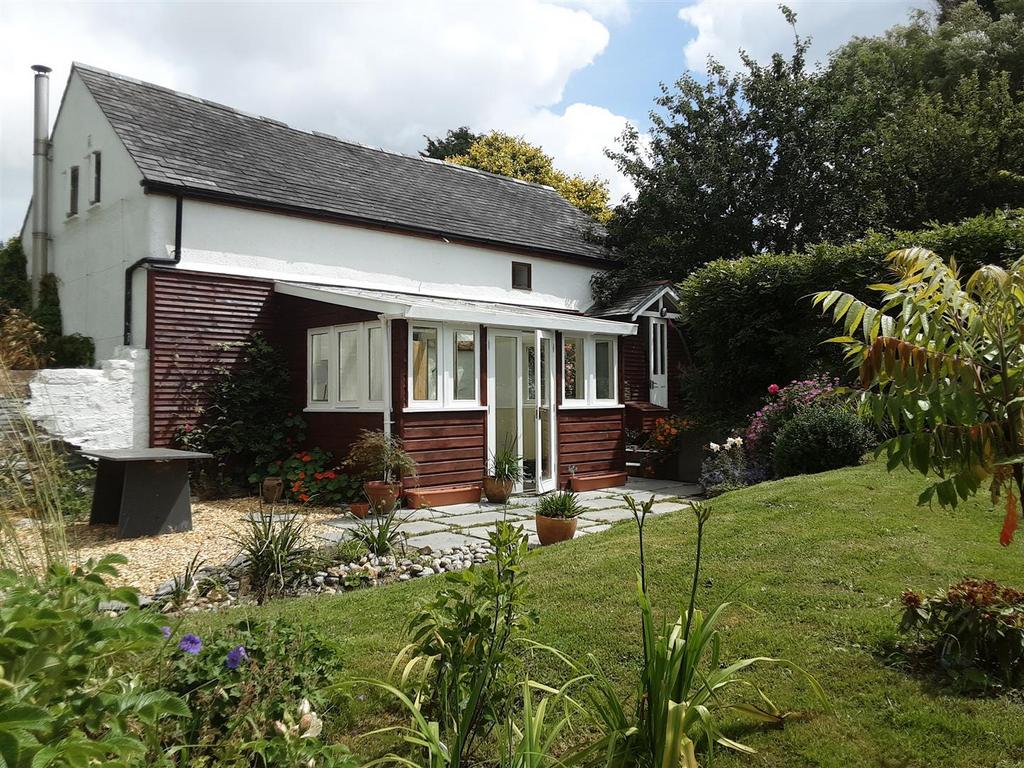 Peter 3.jpg