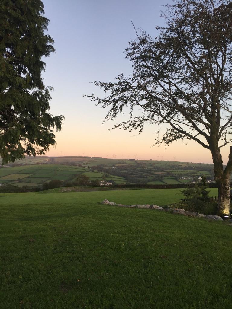 Views of Brechfa Forest