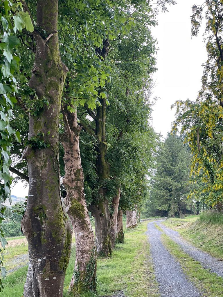 Private road