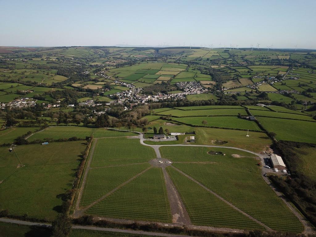 Sticle Vineyard