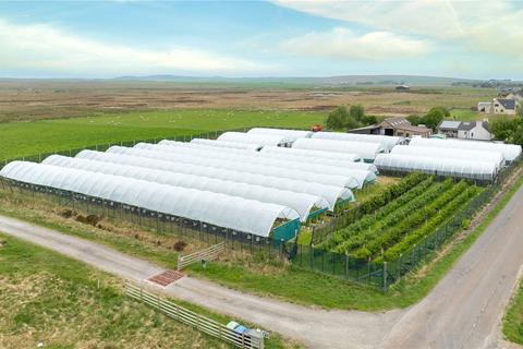 undefined, Berry Croft, Harpsdale, Halkirk, Highland, KW12