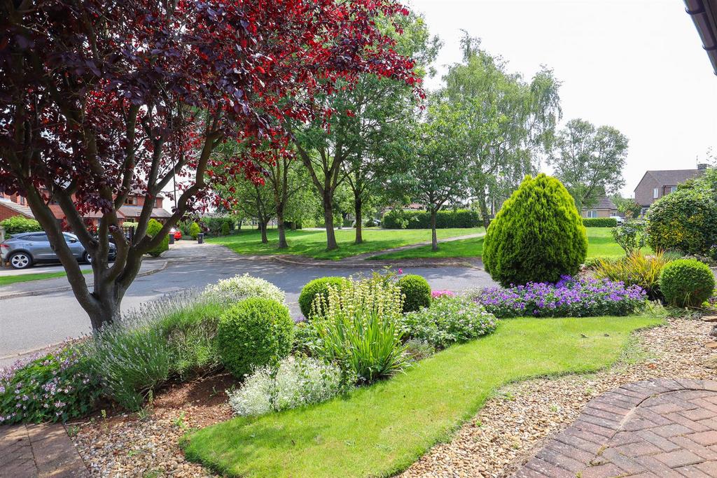 Front garden.jpg