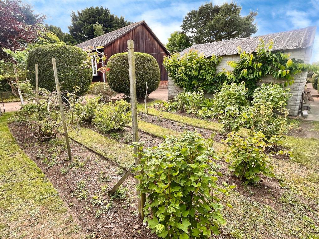 Fruit Beds