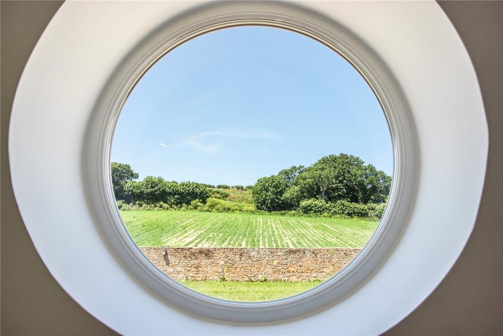 View From Window