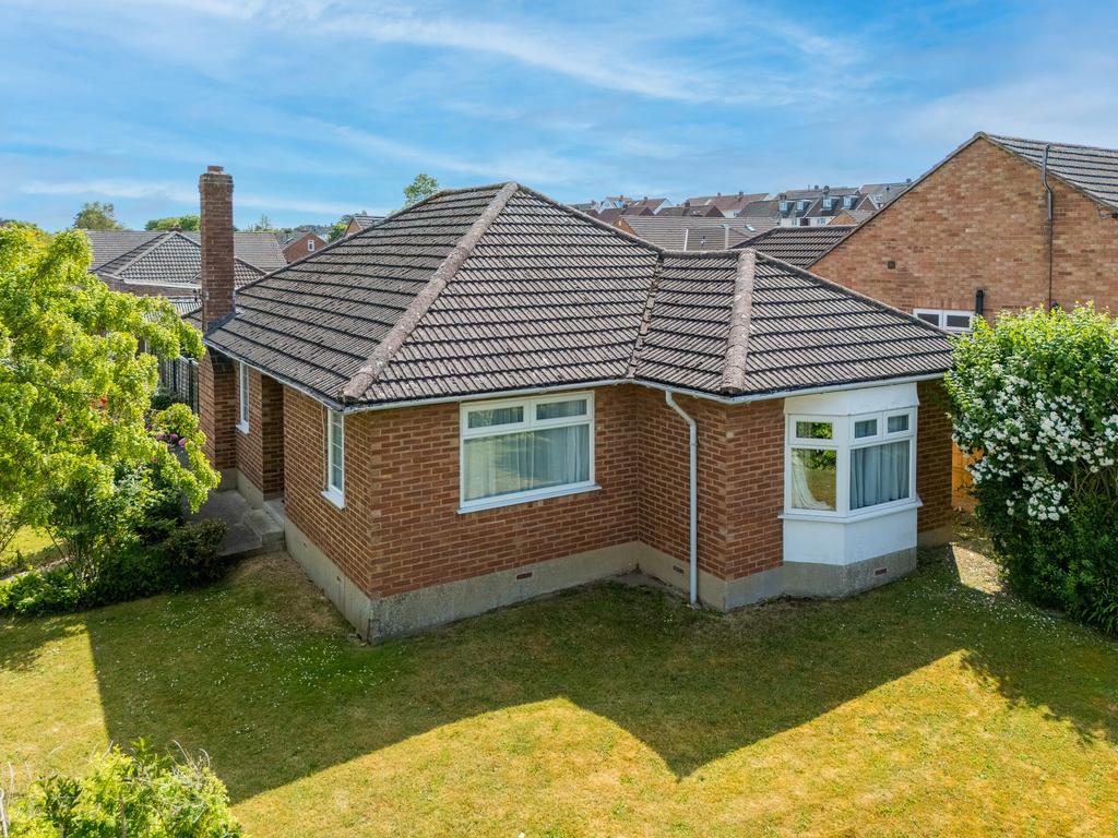 TEK Hi Res 250611 002