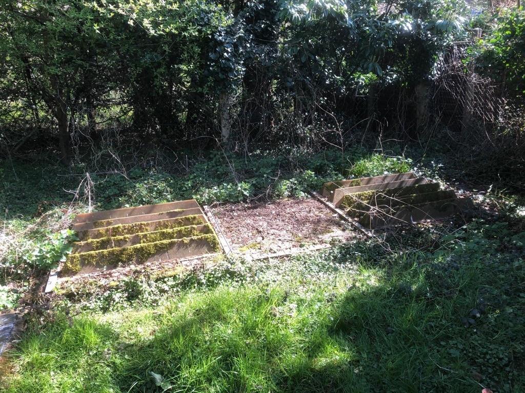 Pic 6 jpg