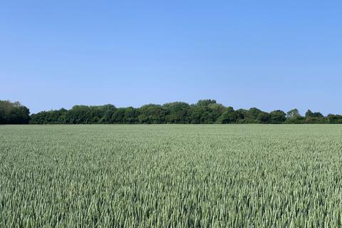 Land for sale, Land at Laxfield