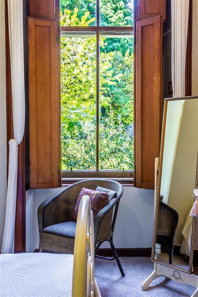 Vivid side window