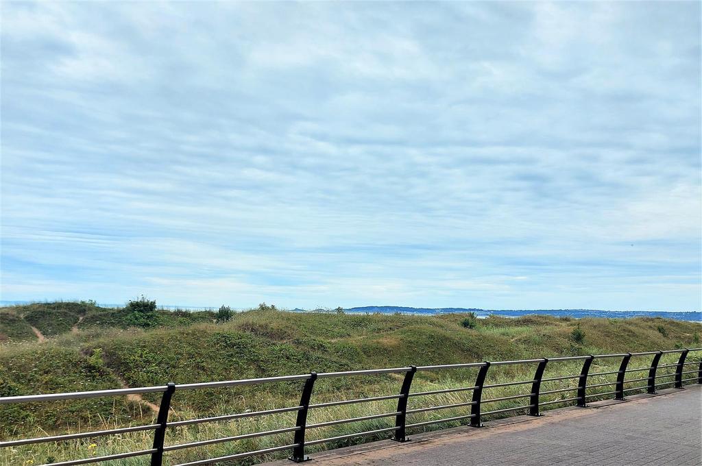 View.jpg