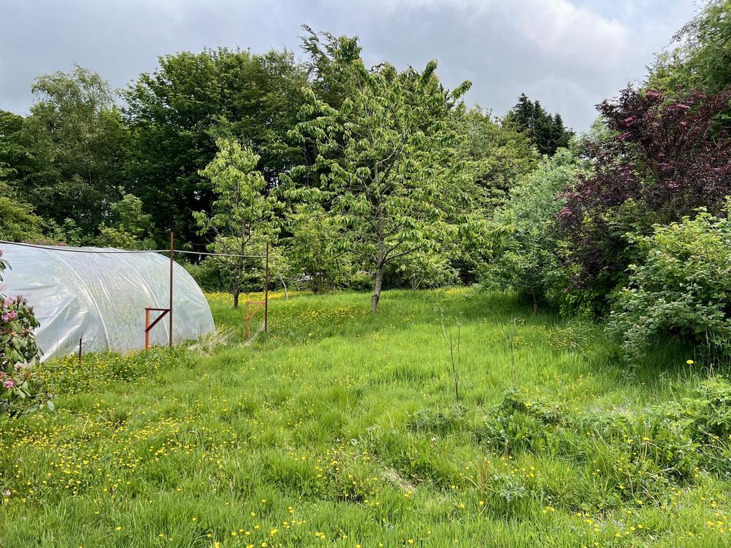 Bydand, Rhonehouse, Castle Douglas - Williamson an