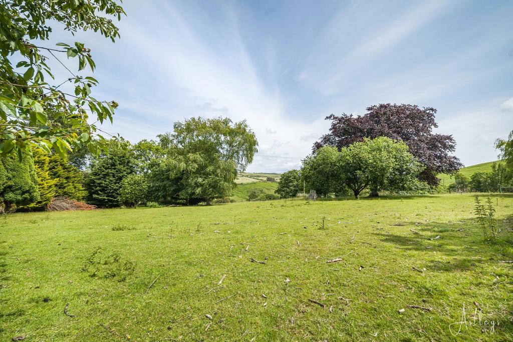 Grounds