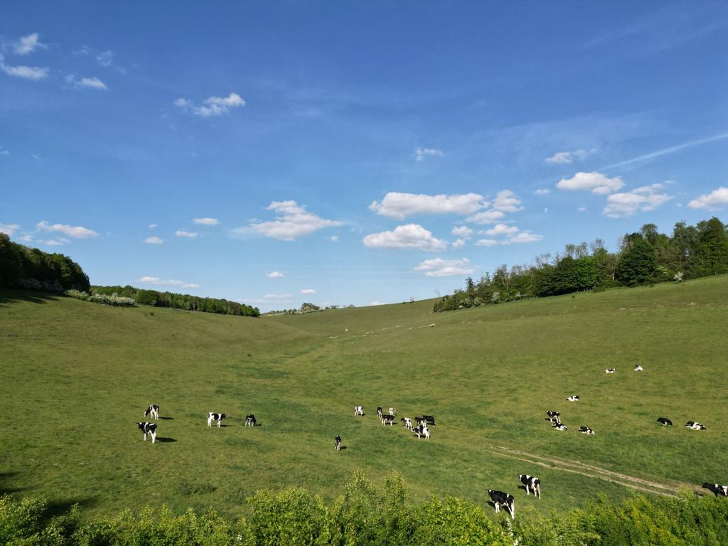 Valley
