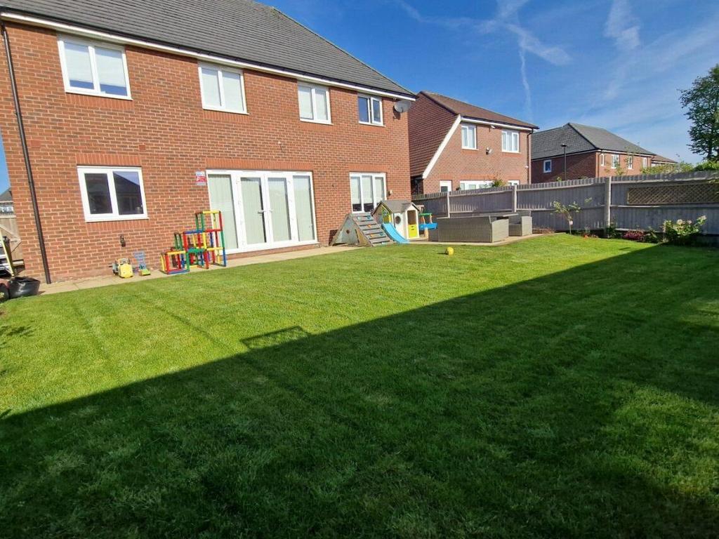 Rear Elevation 2