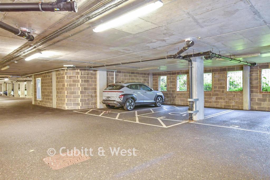 Driveway/Parking
