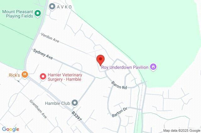 Google Maps Image